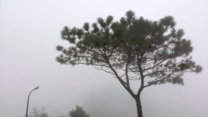 Cold Baguio City