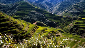 Sagada Banaue