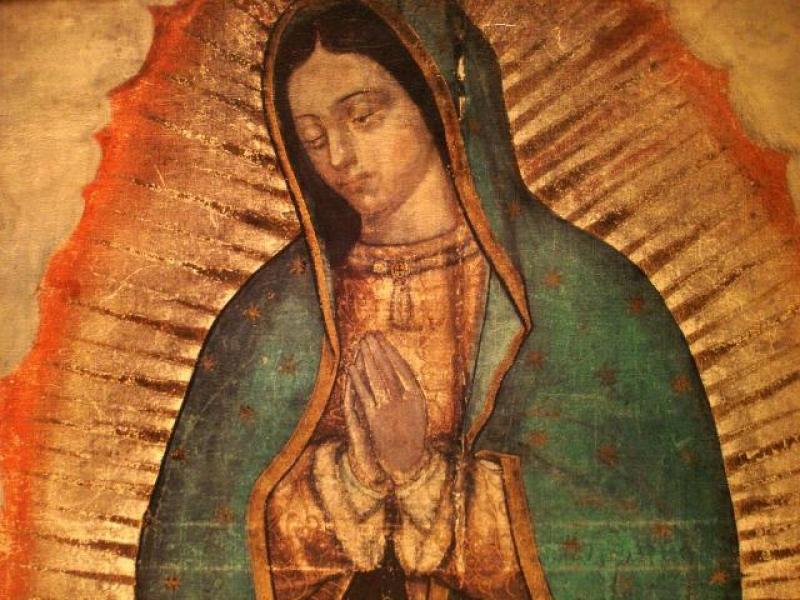 our lady of guadalupe