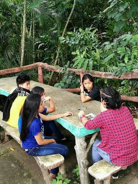 OMPH Recollection GAP Farm