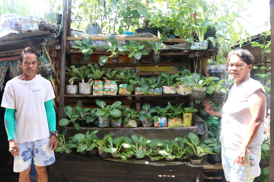 Monton Family Container Garden DSWD