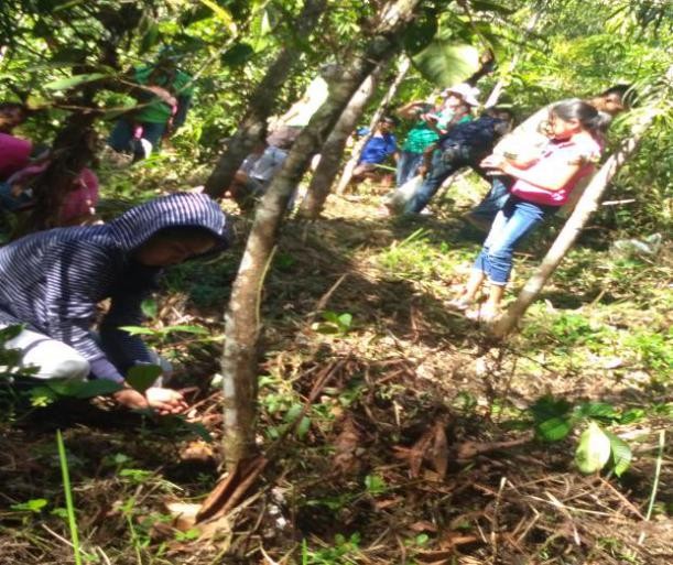 tree planting Barangay Eden SMCC Youth Leaders GKK