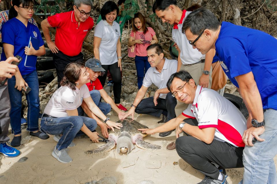 Aboitiz, DENR, LGU renew joint commitment for Pawikan conservation