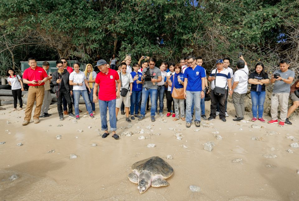 Aboitiz, DENR, LGU renew joint commitment for Pawikan conservation