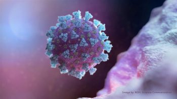 covid-19 novel coronavirus