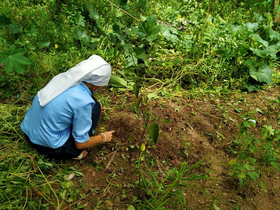 Holy Cross of Sulop Laudato si