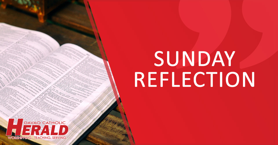 DCH Sunday Reflection