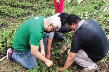 Archdiocesan Social Action Center ASAC-Davao Tree Caring program Brgy. Tawan-Tawan, Baguio district, Davao City