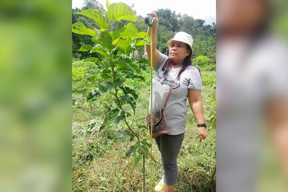 Tree Caring Program spearheaded by Archdiocesan Social Action Center (ASAC)