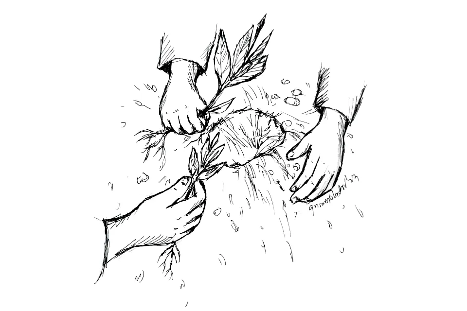 editorial care for creation