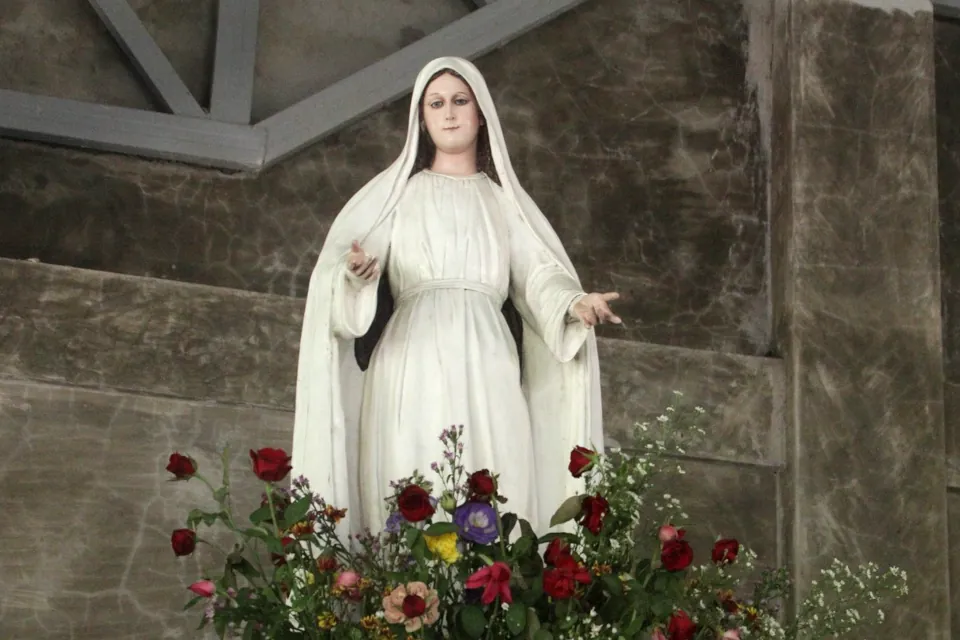 Mary Mediatrix of All Grace Quasi-Parish Panabo 8th Fiesta