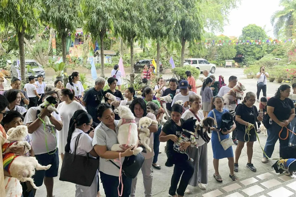 St Francis of Assisi Parish Ma-a 30th fiesta 2025