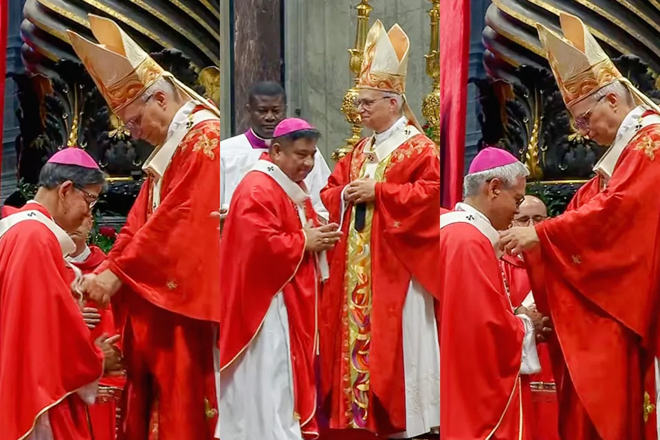 Archbishops Pallium 2026