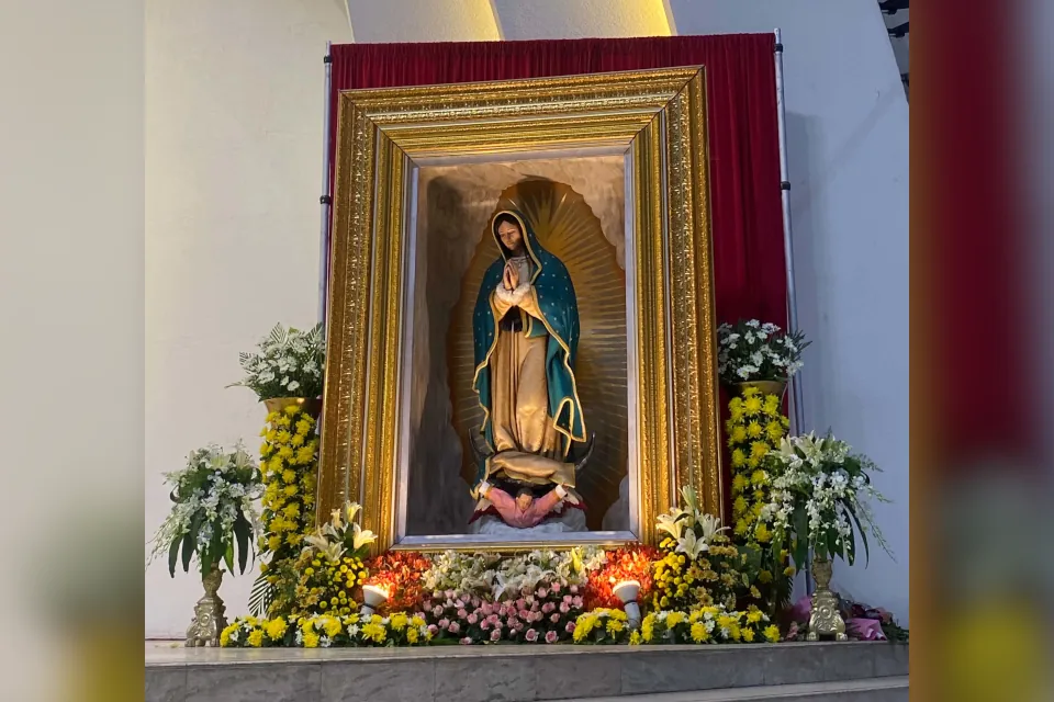 Our Lady of Guadalupe Pilgrimage 2026
