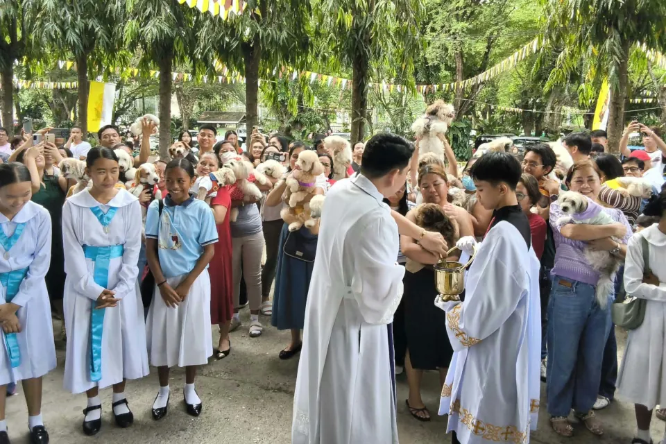 Saint Francis of Assisi Parish - Ma-a 31st Fiesta 2026